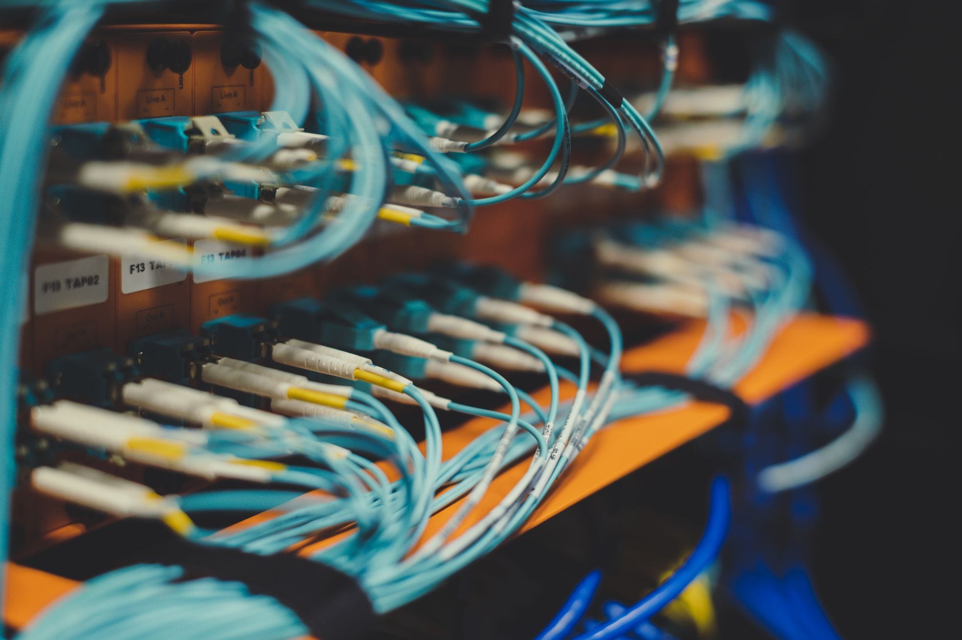 Closeup of many cables with blue wires plugged into a modern network switch, blurred background.
