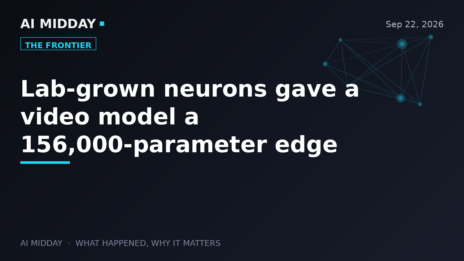 Lab-grown neurons gave a video model a 156,000-parameter edge